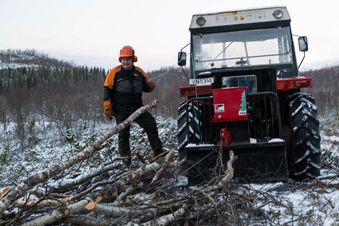 Oppsamling av ved